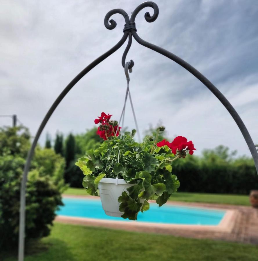 B&B Il Casolare Di Bonci Santa Maria a Monte Luaran gambar