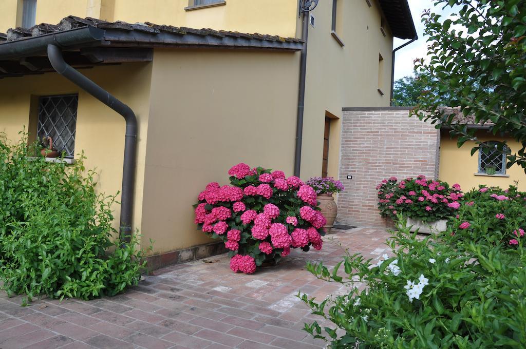 B&B Il Casolare Di Bonci Santa Maria a Monte Luaran gambar