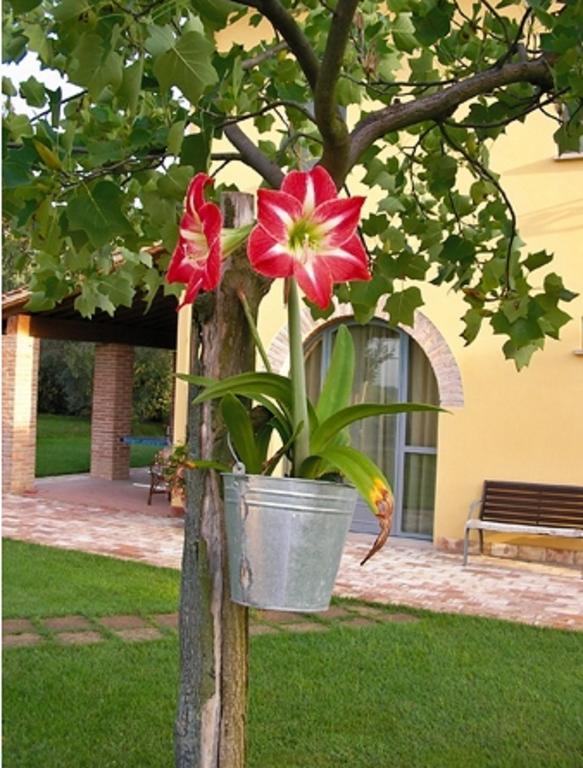 B&B Il Casolare Di Bonci Santa Maria a Monte Luaran gambar